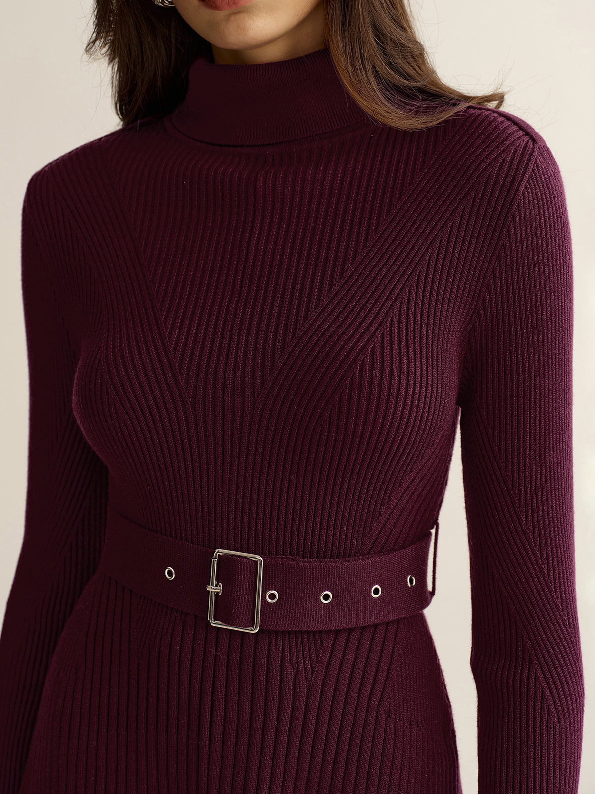 Belted Turtleneck Ribbed Knit Mini Dress